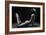 Bodyscape-Anton Belovodchenko-Framed Giclee Print