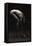 Bodyscape-Anton Belovodchenko-Framed Premier Image Canvas