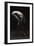 Bodyscape-Anton Belovodchenko-Framed Giclee Print