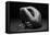 Bodyscape-Anton Belovodchenko-Framed Premier Image Canvas