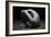 Bodyscape-Anton Belovodchenko-Framed Giclee Print