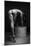 Bodyscape-Anton Belovodchenko-Mounted Giclee Print