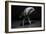 Bodyscape-Anton Belovodchenko-Framed Giclee Print