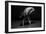 Bodyscape-Anton Belovodchenko-Framed Giclee Print