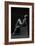 Bodyscape-Anton Belovodchenko-Framed Giclee Print