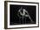 Bodyscape-Anton Belovodchenko-Framed Giclee Print