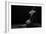 Bodyscape-Anton Belovodchenko-Framed Giclee Print