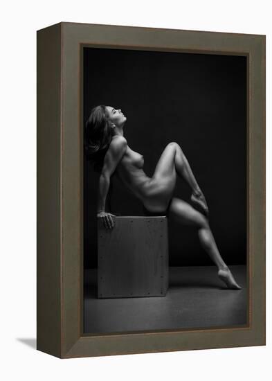 Bodyscape-Anton Belovodchenko-Framed Premier Image Canvas