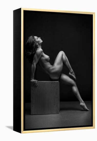 Bodyscape-Anton Belovodchenko-Framed Premier Image Canvas