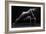 Bodyscape-Anton Belovodchenko-Framed Giclee Print