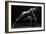 Bodyscape-Anton Belovodchenko-Framed Giclee Print