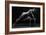 Bodyscape-Anton Belovodchenko-Framed Giclee Print