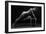 Bodyscape-Anton Belovodchenko-Framed Giclee Print