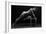 Bodyscape-Anton Belovodchenko-Framed Giclee Print