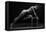 Bodyscape-Anton Belovodchenko-Framed Premier Image Canvas