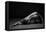 Bodyscape-Anton Belovodchenko-Framed Premier Image Canvas