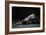 Bodyscape-Anton Belovodchenko-Framed Giclee Print