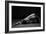 Bodyscape-Anton Belovodchenko-Framed Giclee Print