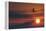 Boeing 737 Ascending At Sunset, Artwork-Detlev Van Ravenswaay-Framed Premier Image Canvas