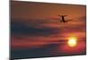Boeing 737 Ascending At Sunset, Artwork-Detlev Van Ravenswaay-Mounted Photographic Print