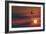 Boeing 737 Ascending At Sunset, Artwork-Detlev Van Ravenswaay-Framed Photographic Print