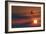 Boeing 737 Ascending At Sunset, Artwork-Detlev Van Ravenswaay-Framed Photographic Print