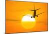 Boeing 737 Ascending At Sunset, Artwork-Detlev Van Ravenswaay-Mounted Photographic Print