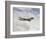 Boeing 747 Air Force One-null-Framed Art Print