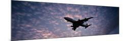 Premium Photographic Print