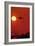 Boeing 747 Taking Off At Sunset-David Nunuk-Framed Photographic Print