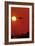 Boeing 747 Taking Off At Sunset-David Nunuk-Framed Photographic Print