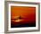 Boeing 747-David Nunuk-Framed Photographic Print