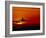 Boeing 747-David Nunuk-Framed Photographic Print