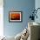 Boeing 747-David Nunuk-Framed Photographic Print displayed on a wall