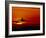 Boeing 747-David Nunuk-Framed Photographic Print