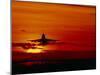 Boeing 747-David Nunuk-Mounted Photographic Print