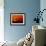 Boeing 747-David Nunuk-Framed Photographic Print displayed on a wall