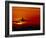 Boeing 747-David Nunuk-Framed Photographic Print