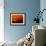 Boeing 747-David Nunuk-Framed Photographic Print displayed on a wall