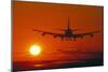 Boeing 747-David Nunuk-Mounted Photographic Print