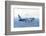 Boeing 757 Jet Aircraft Fuel Efficiency Research-null-Framed Photographic Print