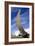 Boeing 787 Dreamliner At Farnborough-Mark Williamson-Framed Photographic Print