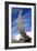 Boeing 787 Dreamliner At Farnborough-Mark Williamson-Framed Photographic Print