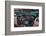 Boeing 787 Flight Deck-null-Framed Art Print