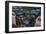 Boeing 787 Flight Deck-null-Framed Art Print