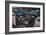 Boeing 787 Flight Deck-null-Framed Art Print