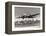 Boeing B-307 on Final Approach, 1940-null-Framed Stretched Canvas