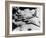 Boeing B-50A Superfortress in Flight-null-Framed Photographic Print