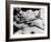 Boeing B-50A Superfortress in Flight-null-Framed Photographic Print