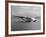 Boeing Clipper Moving on Top of a Body of Water-J^ R^ Eyerman-Framed Photographic Print